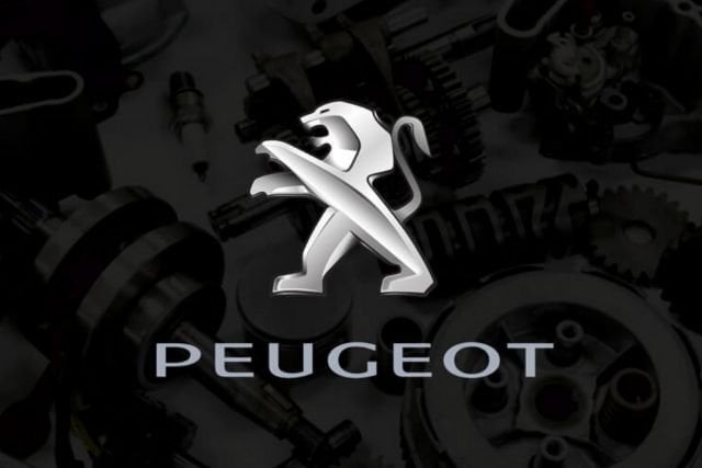 Peugeot Yedek Parça