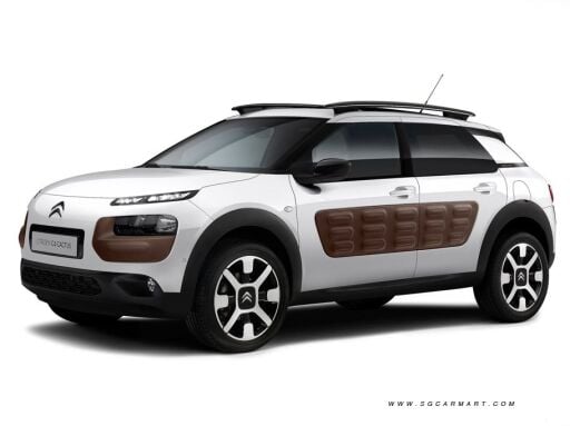C4 Cactus