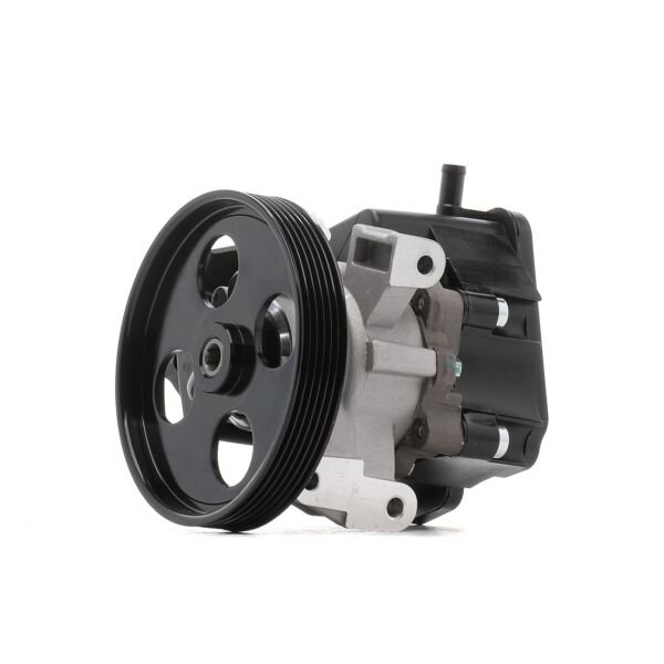 Mercedes E Serisi W211 Direksiyon Pompası E220 CDI M646 2002-2009 BSG 0044667001