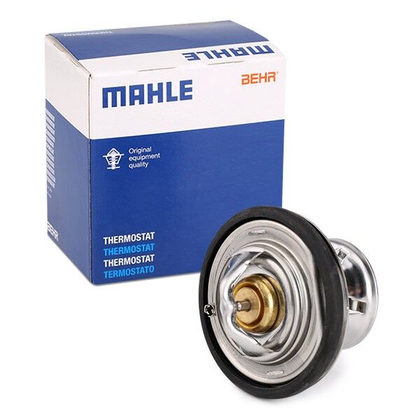 Mercedes W124 Termostat 200D M601 1985-1995 BEHR 6012000215