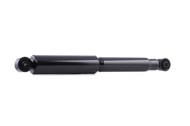 Opel Antara Arka Amortisör 2007-2012 BSG 20767213