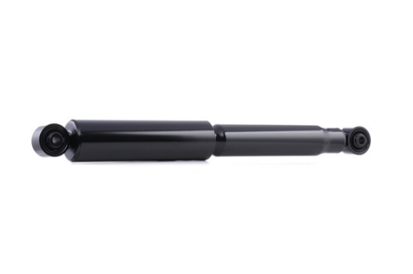 Opel Antara Arka Amortisör 2007-2012 BSG 20767213