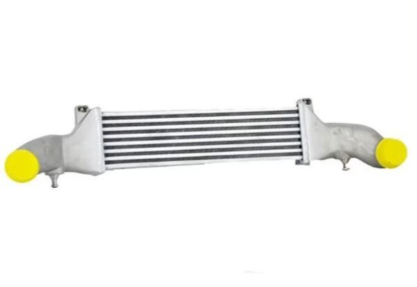 Mercedes C Serisi W202 Turbo Radyatörü C180 1993-2000 BEHR 2025001100